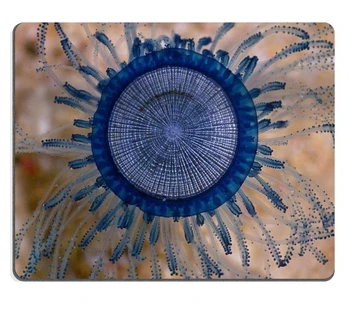 Кнопка цвета голубой медузы Макро Коврик для мыши Индивидуальный игровой коврик для мыши Прямоугольный коврик для мыши 220 мм * 180 мм * 2 мм